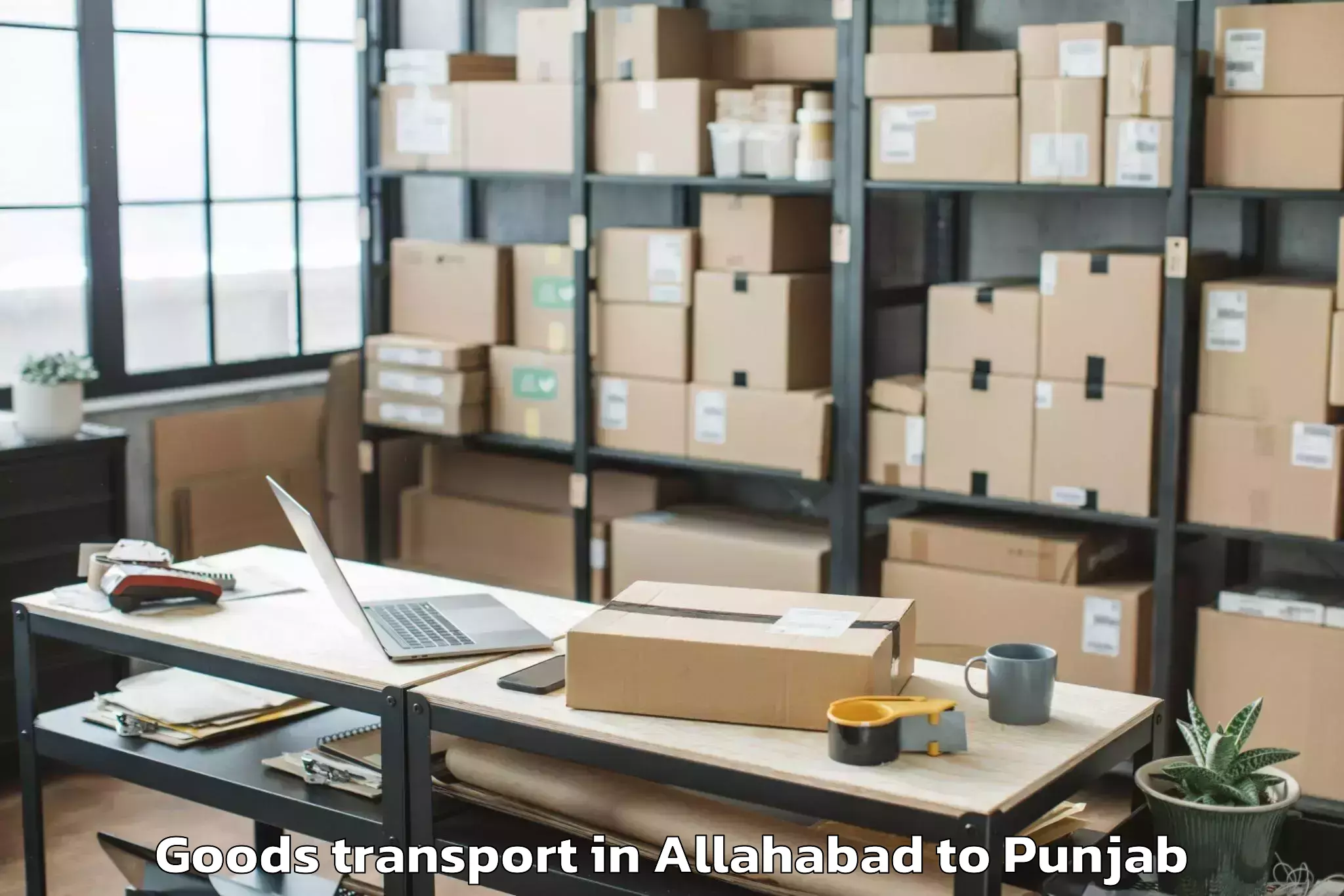 Allahabad to Firozpur Goods Transport